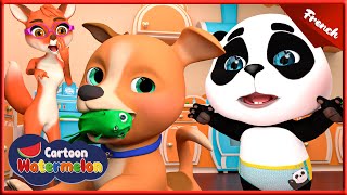 Bingo le Chien Joyeux  B I N G O  Comptines et chansons pour enfants Watermelon Cartoon 160 [upl. by Niad407]