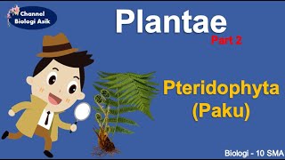 Kingdom Plantae part 2 Pteridophyta  Biologi kelas 10 SMA [upl. by Korb]