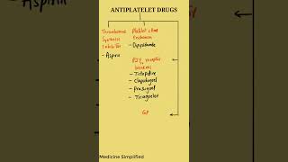 Antiplatelet drugs  Antithrombotic drugs  Antiplatelet drugs classification pharmacology [upl. by Oirram264]