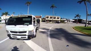 OHara Pest Control  Palm Tree Drenching Injecting West Palm Beach [upl. by Nodlehs]