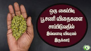 பூசணி விதைக்குள்ள இவ்வளவு விஷயம் இருக்கா ஆண்கள் ஏன் சாப்பிடனும் pumpkin seeds [upl. by Haim]