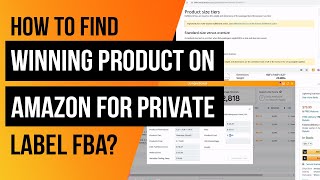 How to find winning product on Amazon for Private Label FBA [upl. by Miki759]