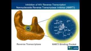NNRTI Resistance 2015 [upl. by Dnumde]