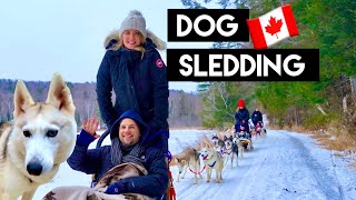 What DOG SLEDDING is REALLY like  Siberian Huskies  Toronto Canada [upl. by Phene]