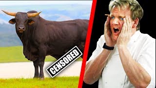 10 Times Gordon Ramsay Ate EXOTIC FOOD Part 2 [upl. by Zack]