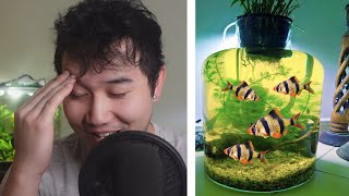 they made a Tetra Jar Ecosphere  Fish Tank Review 237 [upl. by Hasile918]