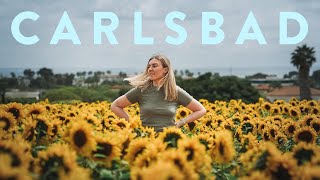 My Solo Trip to Carlsbad California [upl. by Firooc]