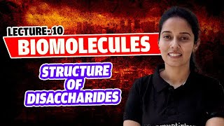 10Oligosaccharides Structure of Disaccharides Carbohydrates Biomolecules NEET lass 11 [upl. by Rivers717]