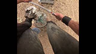 Horseshoeing Hind Shoe Reset [upl. by Atled891]