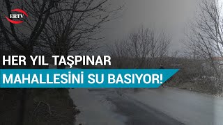 HER YIL MAHALLEYİ SU BASIYOR ORDUZU TAŞPINAR MAHALLESİ’NDE VATANDAŞ İLGİSİZLİĞE TEPKİLİ [upl. by Aidne]