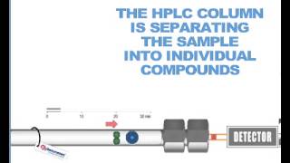 How HPLC Columns Work [upl. by Tala]