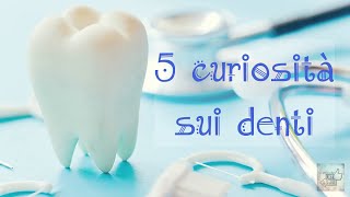 5 Curiosità Sui DENTI [upl. by Reginald]