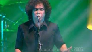 Andrés Calamaro  Flaca 1997  2005 [upl. by Aicittel762]