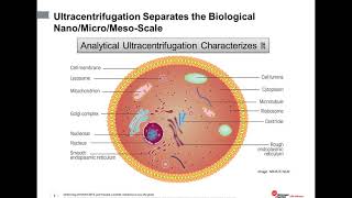 An Introduction to characterization of biomolecules using analytical ultracentrifugation [upl. by Jerrilee]