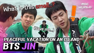 ENGJPN BTS JIN came to an uninhabited island to relax but ended up abandoned alone BTS JIN [upl. by Aciria]