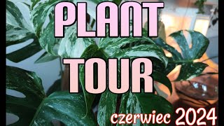 PLANT TOUR🌿MNÓSTWO ROŚLIN🌿PONAD💯 [upl. by Bobker]