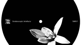 Kangding Ray  Ezerb Altren Stroboscopic Artefacts SA017 [upl. by Enelam]