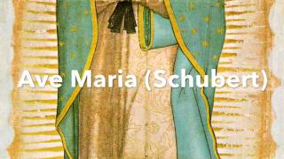 Ave Maria Schubert  Spanish Version [upl. by Ydrah292]