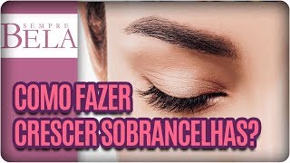 Receitas caseiras para crescer sobrancelhas  Sempre Bela 031217 [upl. by Ariay]