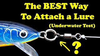 The best way to attach a fishing lure is split rings swivels loop knots tested underwater [upl. by Lydon]