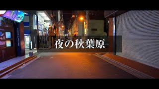 【4K】夜の秋葉原 [upl. by Ahsiemac471]