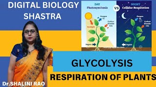 Glycolysis II Respiration II Std11Th amp 12Th II Biology II DrShalini Rao II Digital Biology Shastra [upl. by Aicekat]