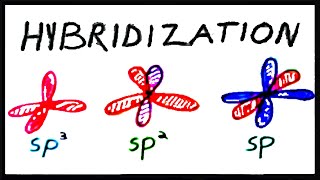 sp3 sp2 and sp Hybridization [upl. by Forras]