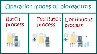 Types of Bioprocesses  Batch  Fed Batch and Continuous processes [upl. by Stefa]