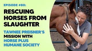 Rescuing Horses from Slaughter Tawnee Preisner’s Mission with Horse Plus Humane Society [upl. by Neddie]