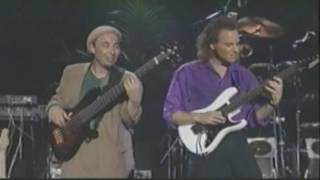 Rippingtons Live in L A [upl. by Adnohsat]