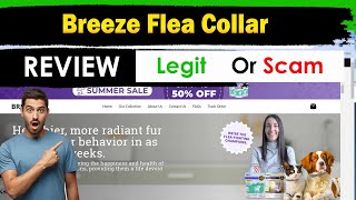 Breeze Flea Collar Review  Breeze Dog Collar Review  Is Breeze Collar Legit or Scam [upl. by Mathilde]