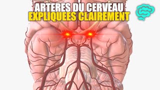 Tumeurs cérébrales pédiatriques types de tumeurs effets secondaires des traitements et recherche [upl. by Ujawernalo]