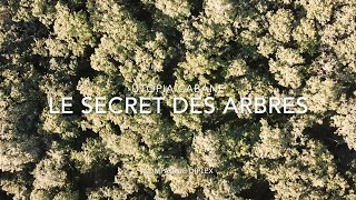 UTOPIA CABANES  Le secret des arbres  FILM [upl. by Davidde]