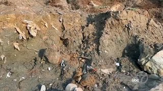 Old landfill littering Bay Area beach with decades of trash [upl. by Alysa604]