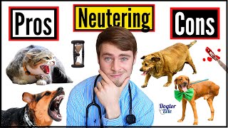 The Spay And Neuter Controversy  Everything YOU Need To Know   Pros amp Cons Of Neutering Your Pet [upl. by Cornelia]