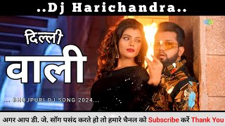 Delhi Wali Dil Leke Bhagal Dj Remix Song Dj Bhojpuri Song New Song 2024 [upl. by Aitsirhc]