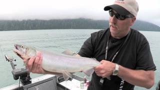 Baker Lake Sockeye [upl. by Godart]