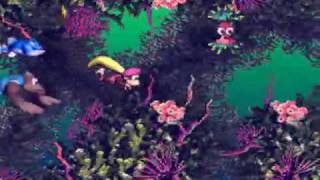 DKC3 105 Run pt 17  Level 35 Fish Food Frenzy [upl. by Neik]