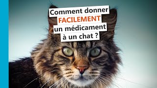 Comment donner facilement un médicament à un chat [upl. by Acnaib813]