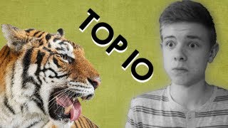 DIE TOP 10 GEFÄHRLICHSTEN TIERE DER WELT [upl. by Nnairam]