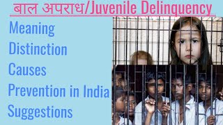 Child DelinquencyMeaning distinctioncausesPrevention EffortssuggestionProfSDVerma [upl. by Eninahs777]