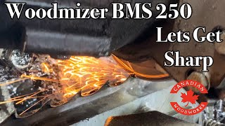 Woodmizer BMS250  Bandsaw Blade Sharpener [upl. by Gamber]