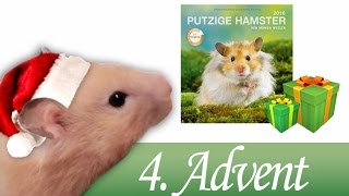 4 Advent Verlosung Hamster Kalender 2016 [upl. by Melonie459]