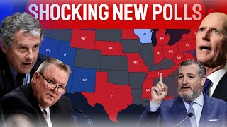 2024 Senate Map Predictions Based On the Latest Poll in EVERY STATE [upl. by Chelsie]