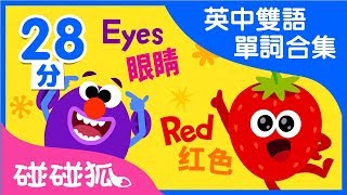 英中雙語 單詞合集兒歌合集  Learn Chinese and English together  碰碰狐PINKFONG  兒童兒歌 [upl. by Paige]