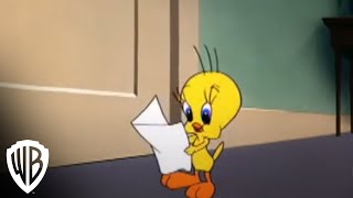 Looney Tunes Super Stars Tweety amp Sylvester Feline Fwenzy  Admirer  Warner Bros Entertainment [upl. by Ezequiel982]