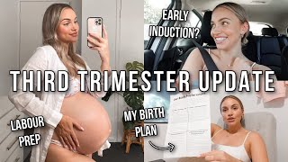 Third Trimester Update  Birth Plan How Im Preparing for Labour [upl. by Ingrid311]