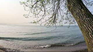 Morning Lake Sounds  Water Lapping the Lake Shore  Nature Relaxation Sounds of Lake ONTARIO  ASMR [upl. by Alex]