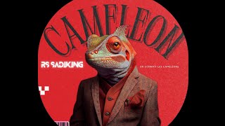 Rs sadiking  Caméléon lyrics vidéo [upl. by Atilrac]