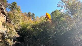 Beautiful Fall Leaves falling by Waterfall [upl. by Parrott]